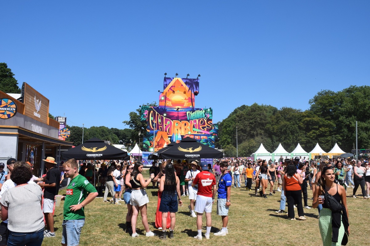 Foule aux Vieilles Charrues - Illustration Le son de l’histoire