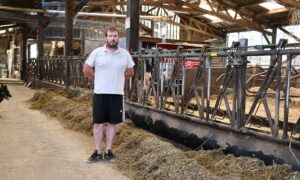 un éleveur dans une stabulation