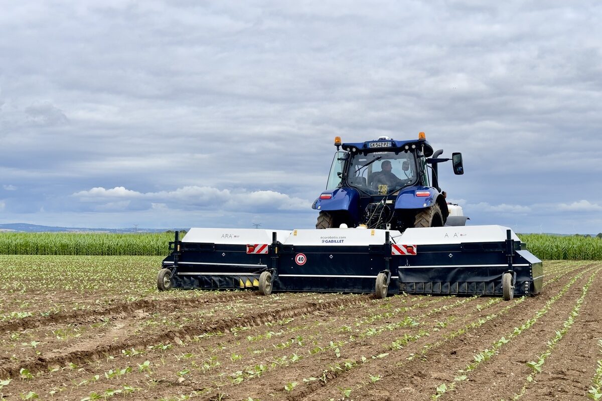 Pulévrisateur Ara dans champ de haricots - Illustration Un essai à l’échelle de la rotation