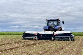 Pulévrisateur Ara dans champ de haricots