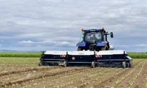 Pulévrisateur Ara dans champ de haricots