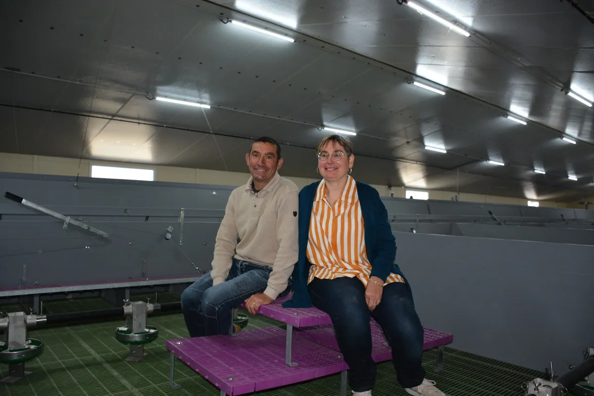 lapin cuniloft - Illustration Miser sur le bien-être en lapin