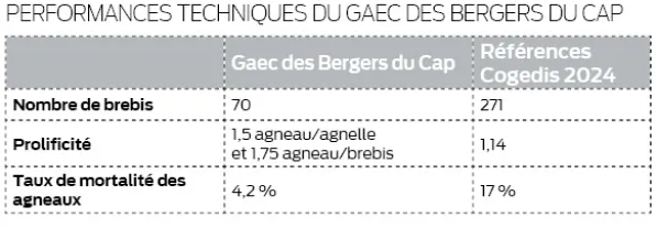 tableau des performances techniques d'un élevage de moutons