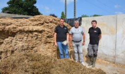 Trois hommes dans un silo d'ensilage