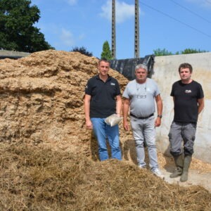 Trois hommes dans un silo d'ensilage