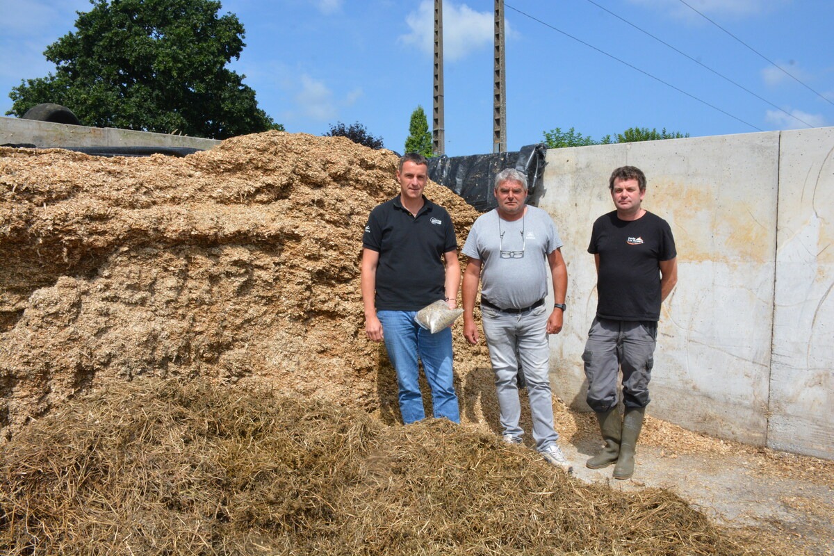 Trois hommes dans un silo d'ensilage - Illustration Viser 35 % de MS pour maximiser le rendement