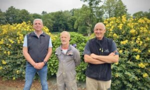 trois personnes debout devant un massif de fleurs
