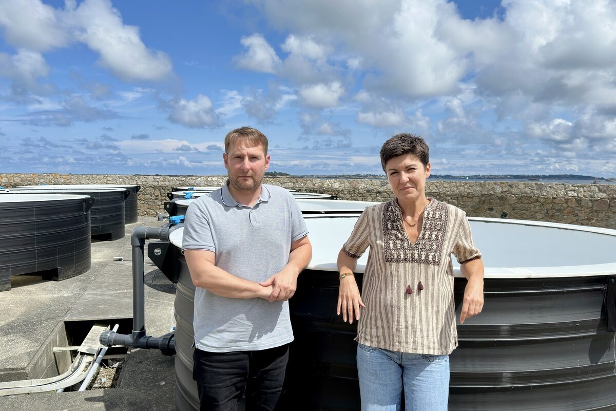 Un couple devant un bac rempli d'eau - Illustration Et si les algues épuraient les effluents ?