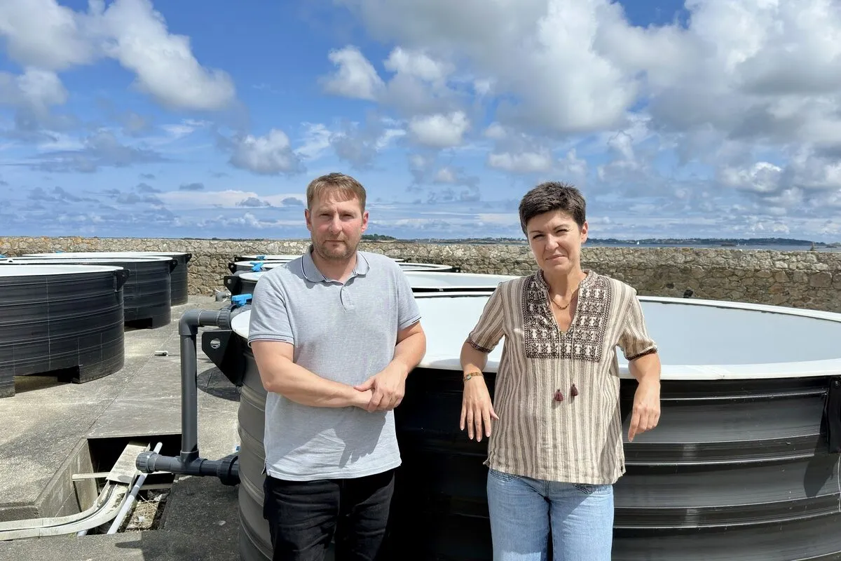 Un couple devant un bac rempli d'eau - Illustration Et si les algues épuraient les effluents ?