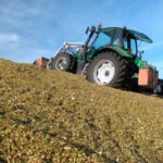 Tassement maïs après ensilage. Confection du silo