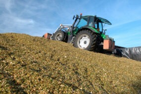 Tassement maïs après ensilage. Confection du silo
