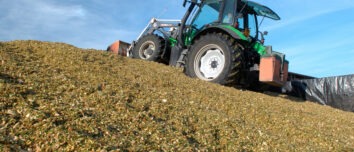 Tassement maïs après ensilage. Confection du silo