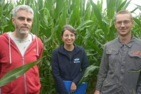 Des personnes dans un champs de maïs