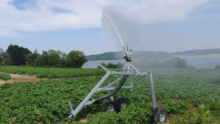 Un canon d'irrigation en fonctionnement dans un champ