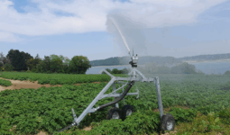 Un canon d'irrigation en fonctionnement dans un champ