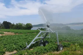 Un canon d'irrigation en fonctionnement dans un champ