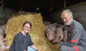 Une femme et un homme avec des cochons sur de la paille