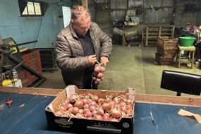 Un homme qui tresse des oignons