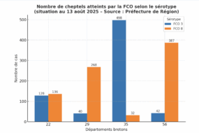 Graphique du nombre de cheptels atteints par la FCO selon le sérotype au 13 août 2025