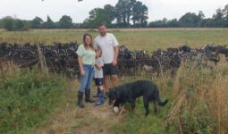 Un couple et un enfant au milieu d'un troupeau de chèvre dans un champ