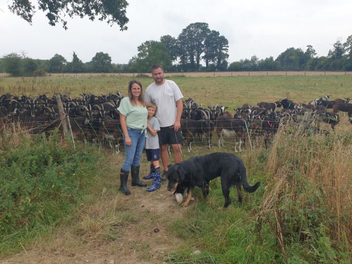 Un couple et un enfant au milieu d'un troupeau de chèvre dans un champ