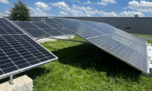 des panneaux photovoltaïque posés au sol dans un champ