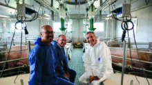 Un éleveur et des techniciensdans un bâtiment d'élevage de porc