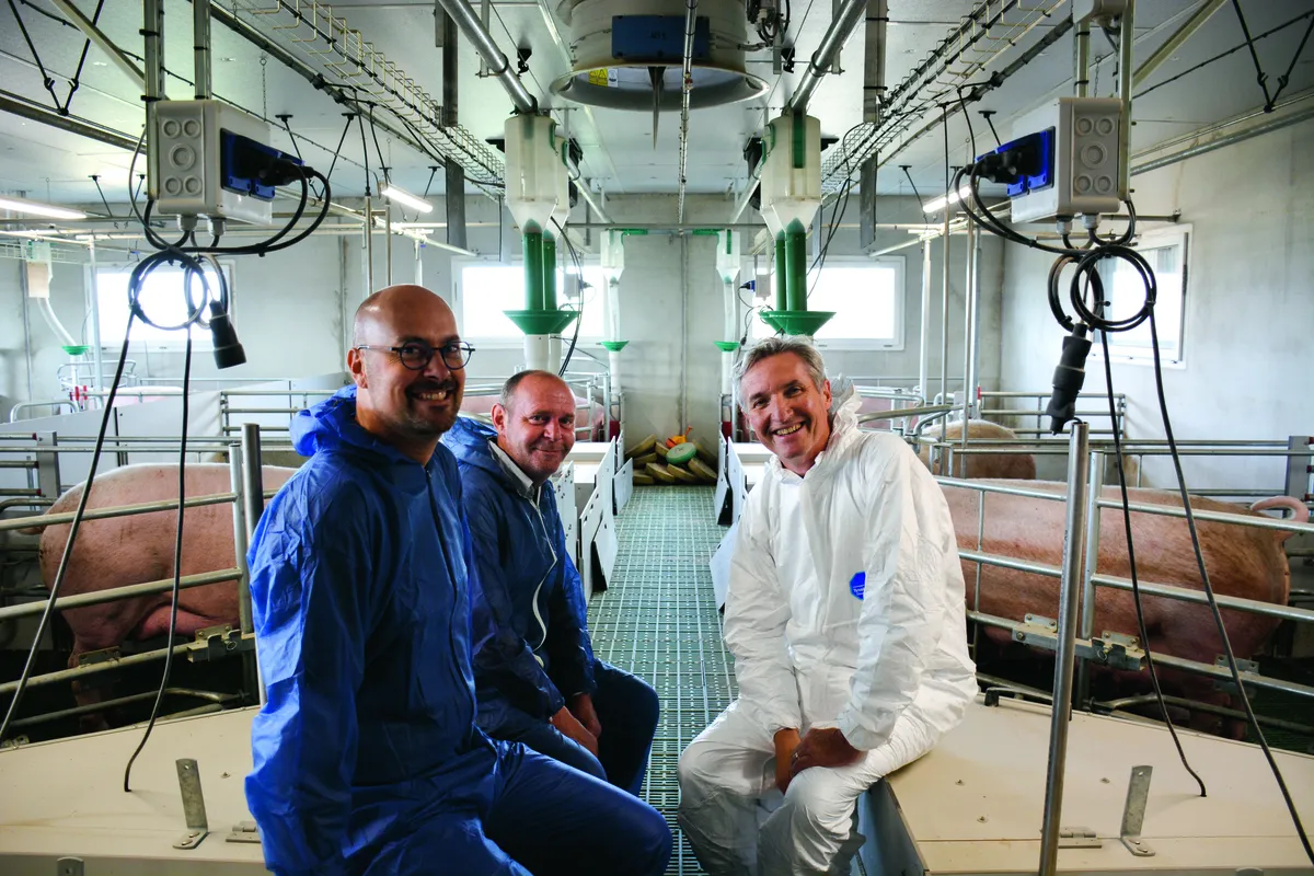 Un éleveur et des techniciensdans un bâtiment d'élevage de porc - Illustration Une bonne ventilation et la brumisation pour rafraîchir les truies