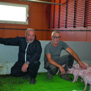 Éric Rochefort et Marcel Denis avec des porcelets