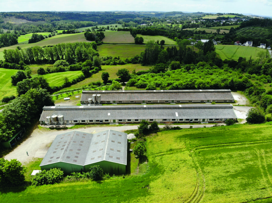 Vue aérienne de poulaillers dans une exploitation agricole