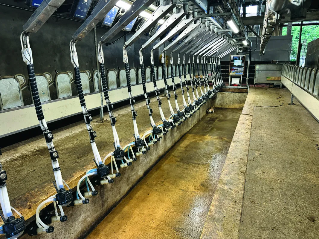 La salle de traite a été pensée pour permettre à une personne de traire en une heure.