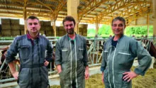 Trois homme ans un bâtiment d'élevage bovin