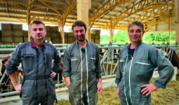 Trois homme ans un bâtiment d'élevage bovin