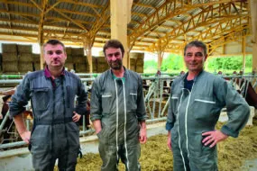 Trois homme ans un bâtiment d'élevage bovin
