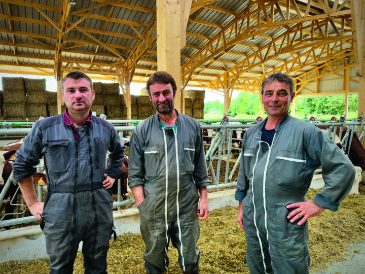 Trois homme ans un bâtiment d'élevage bovin