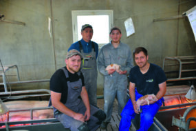 Le famille Driant, eleveurs de porc