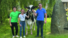 Deux hommes et une femme avec une vache de race Holstein