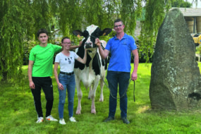 Deux hommes et une femme avec une vache de race Holstein