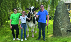 Deux hommes et une femme avec une vache de race Holstein