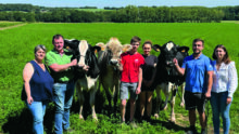Une famille d'éleveurs présente deux vaches Holstein et une vache Brune.