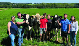 Une famille d'éleveurs présente deux vaches Holstein et une vache Brune.