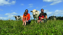 Un couple d'élevurs et leurs deux fils dans une prairie avec des vaches de race Holstein.