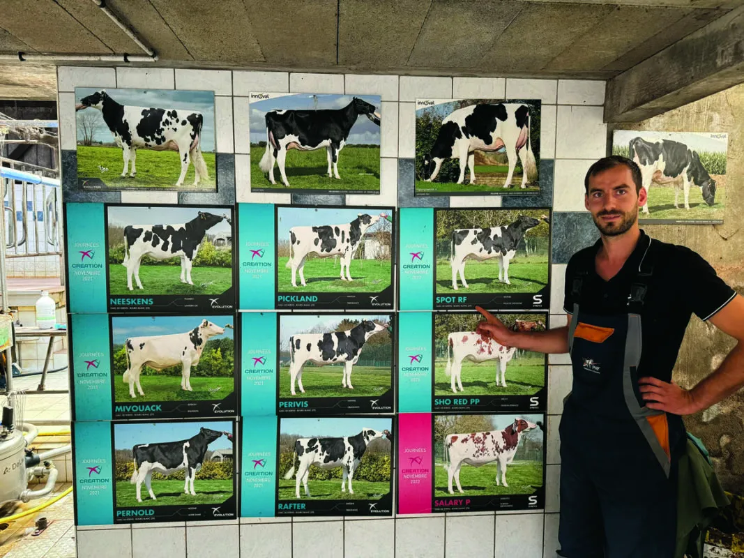 Tanguy Cueff présente les taureaux sortis au catalogue Innoval par ses cédants.