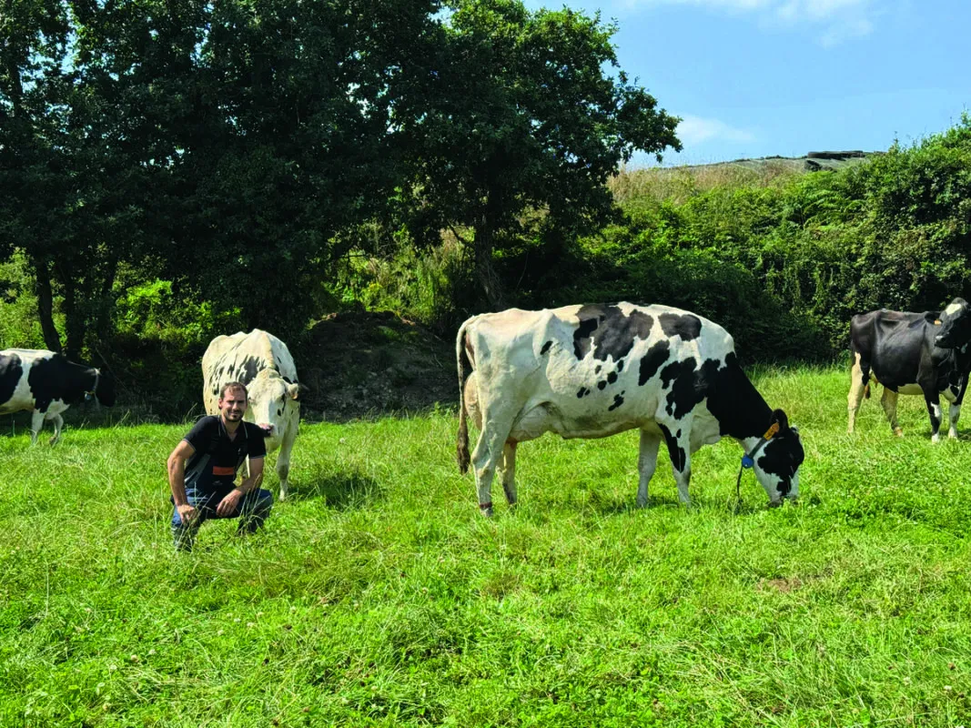 Tanguy Cueff présente le profil de Randonnée du Lac Blanc (Hothand x Luaces) devenue la mascotte après ses victoires aux récents comices.