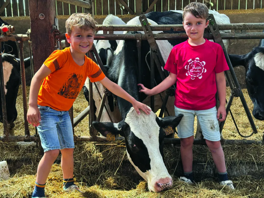 Deux garçons près d'une vache de race Holstein.