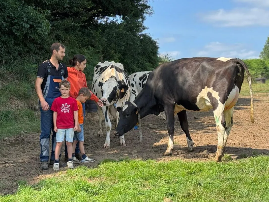 Une famille d'éleveurs avec des vaches de race Holstein.
