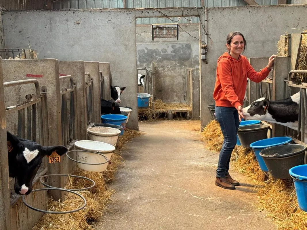 Une éleveuse dans une nurserie avec des veaux de race Holstein