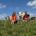 Un couple et 2 enfants assis dans un champ avec des vaches autour