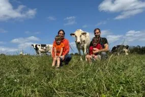 Un couple et 2 enfants assis dans un champ avec des vaches autour