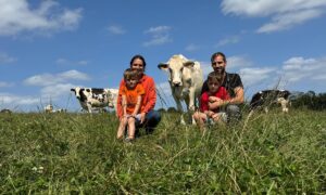 Un couple et 2 enfants assis dans un champ avec des vaches autour